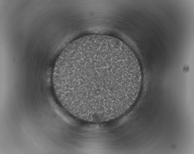 X0000112160065200909181457