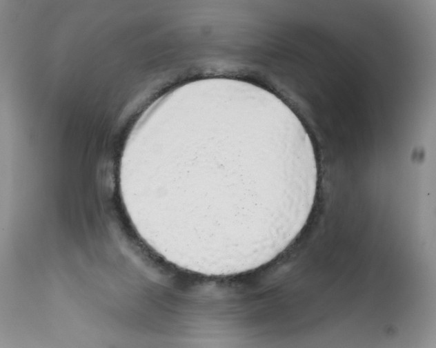 X0000112160067200909181457