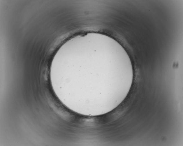 X0000112160068200909181457