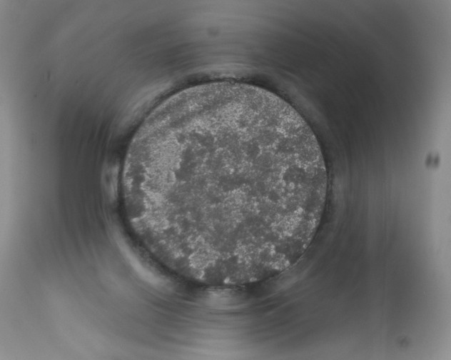 X0000112160070200909181457