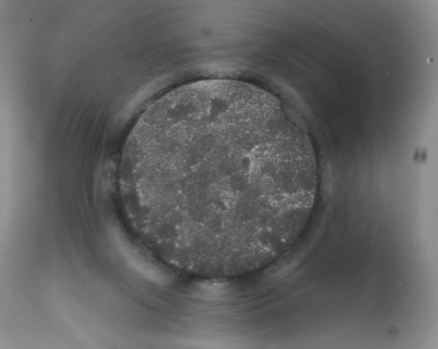 X0000112160071200909181457
