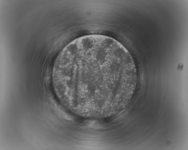 X0000112160074200909181457