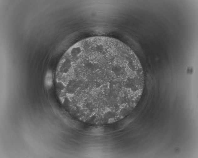 X0000112160075200909181457
