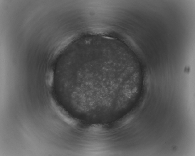 X0000112160076200909181457