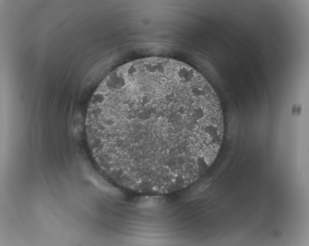 X0000112160077200909181457