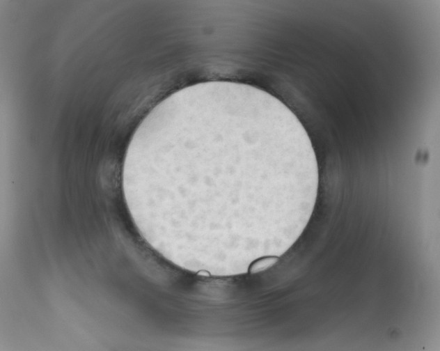 X0000112160079200909181457