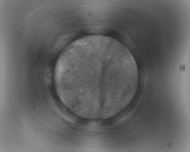 X0000112160080200909181457