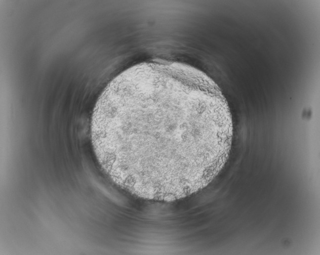 X0000112160081200909181457