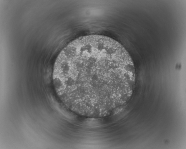 X0000112160082200909181457