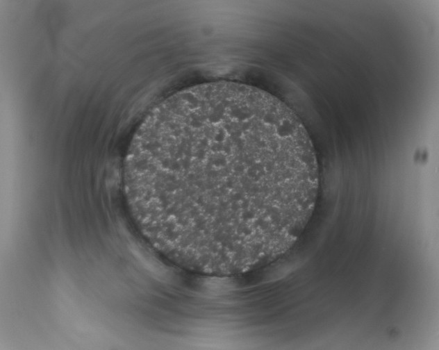 X0000112160085200909181458