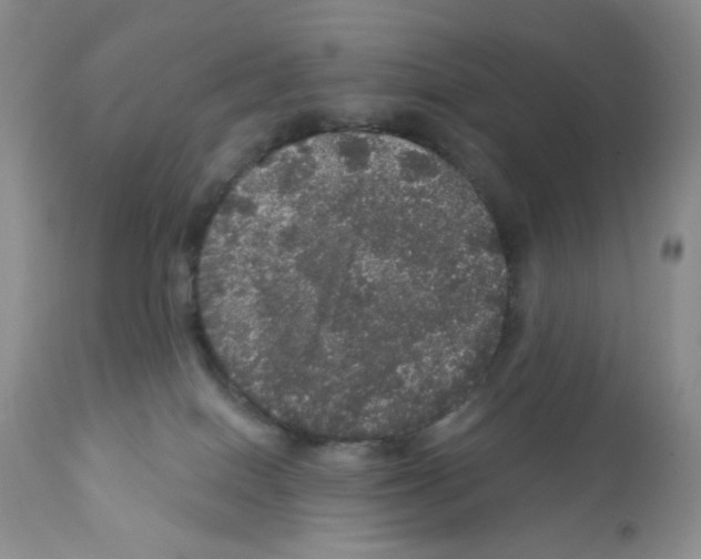 X0000112160086200909181458
