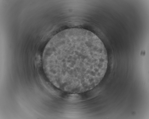 X0000112160087200909181458