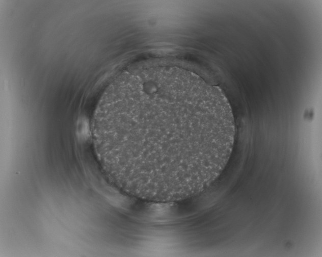 X0000112160089200909181458