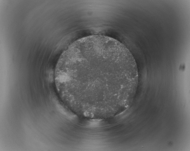 X0000112160090200909181458