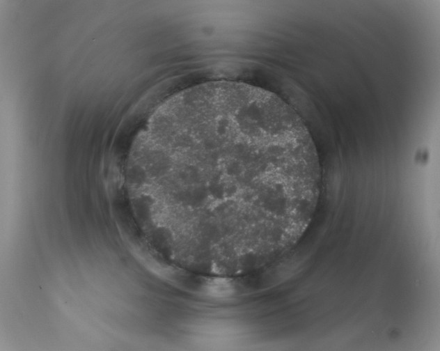 X0000112160091200909181458