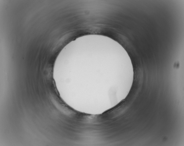 X0000112160092200909181458