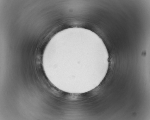 X0000112160093200909181458