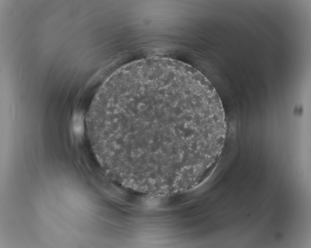 X0000112160094200909181458