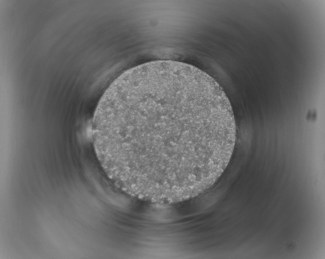 X0000112160095200909181458
