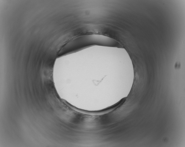 X0000112160096200909181458
