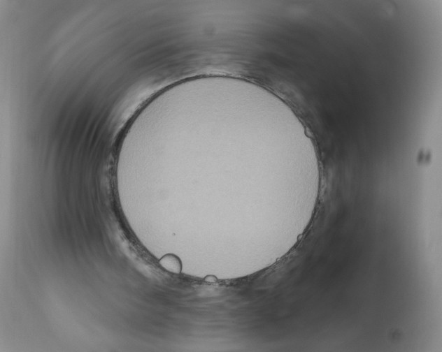 X0000112160098200909181457