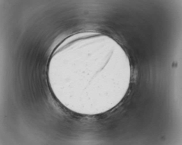 X0000112160099200909181457