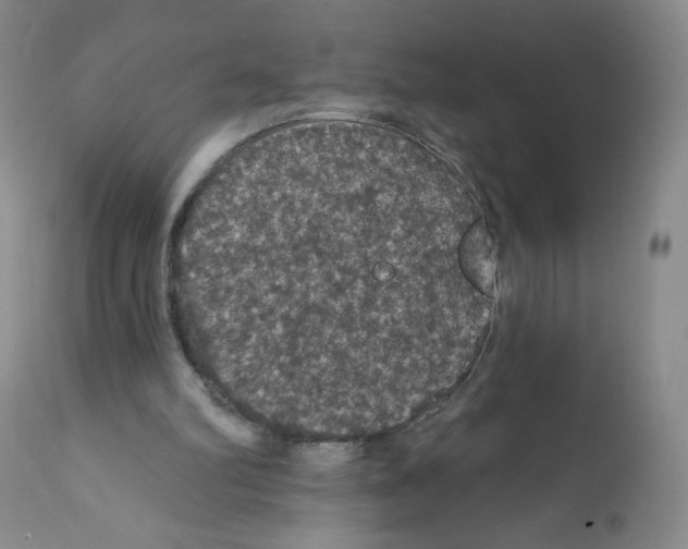 X0000112160102200909181457