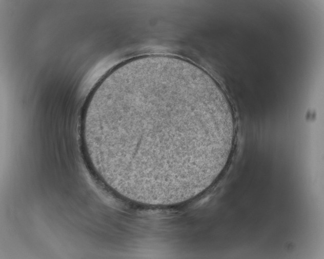 X0000112160103200909181457