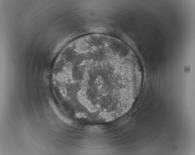 X0000112160106200909181457