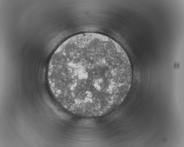 X0000112160110200909181457