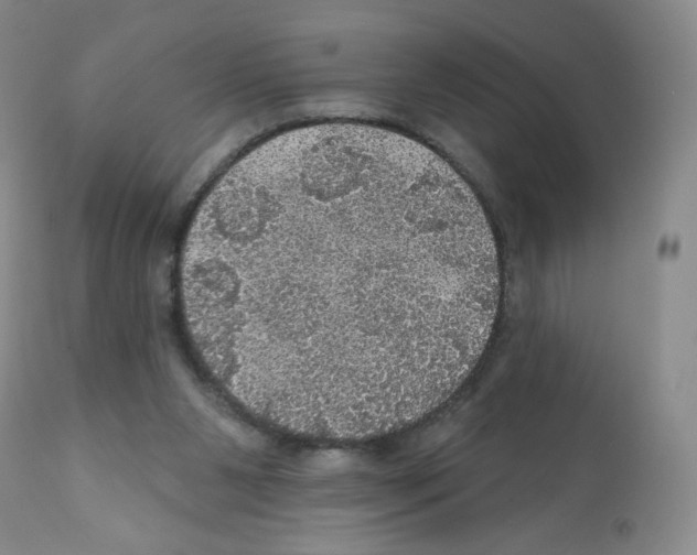 X0000112160111200909181457