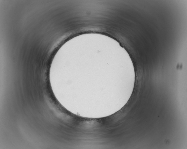 X0000112160112200909181457