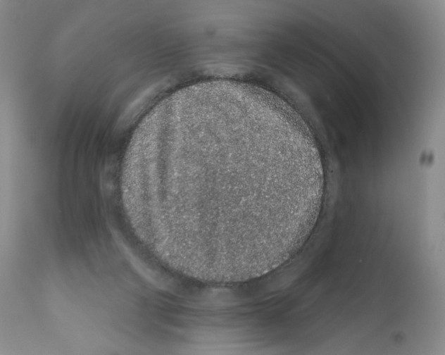 X0000112160114200909181457