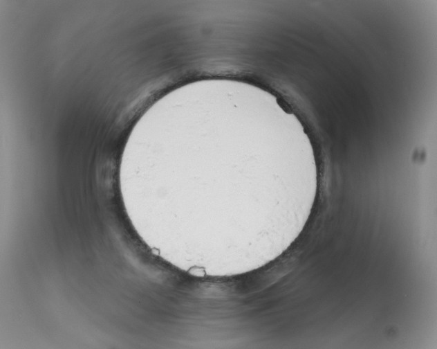 X0000112160115200909181457