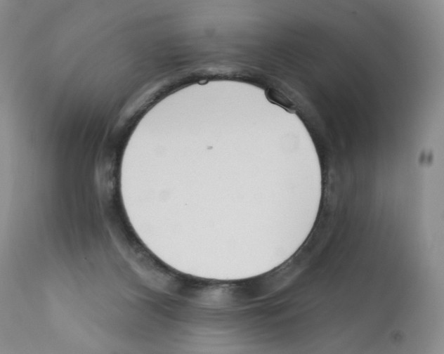 X0000112160116200909181457