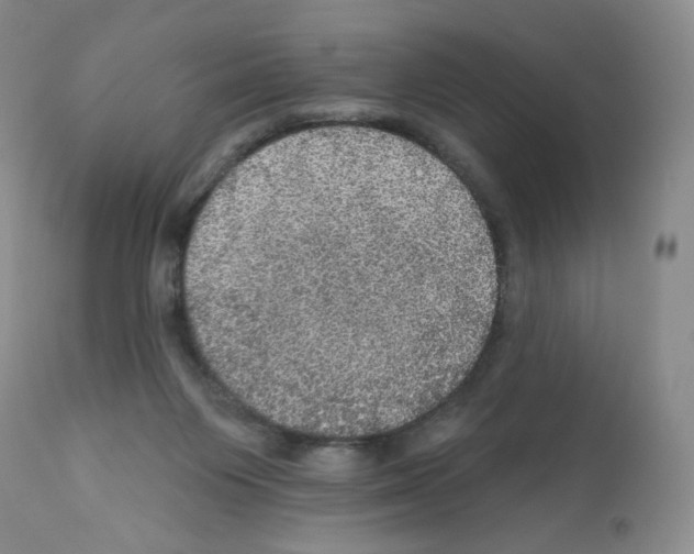 X0000112160119200909181457
