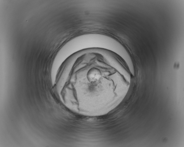 X0000112160121200909181457