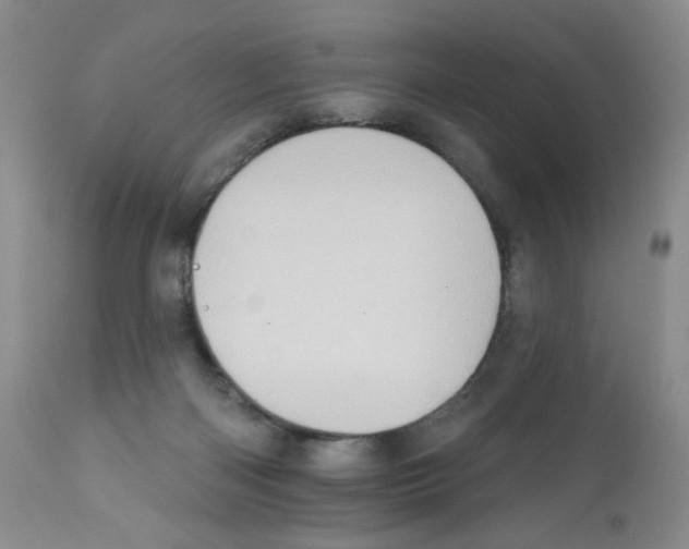 X0000112160122200909181457