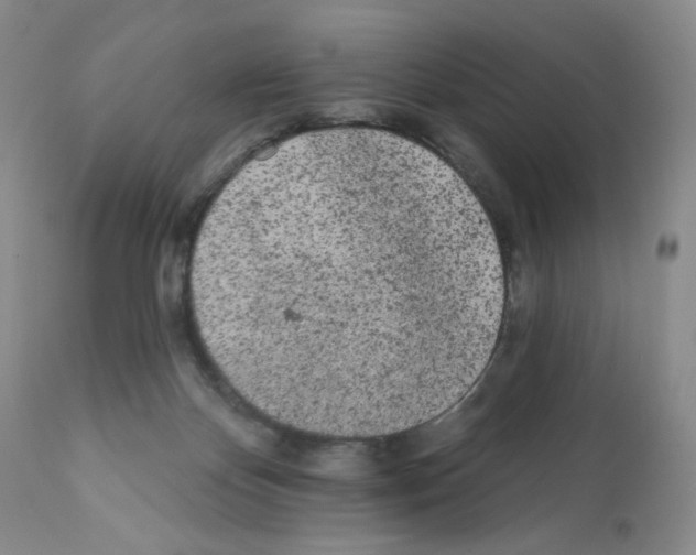 X0000112160124200909181457