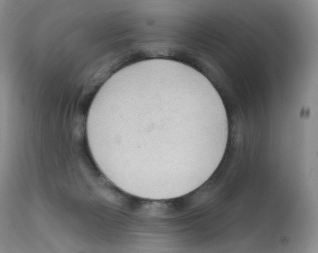 X0000112160125200909181457