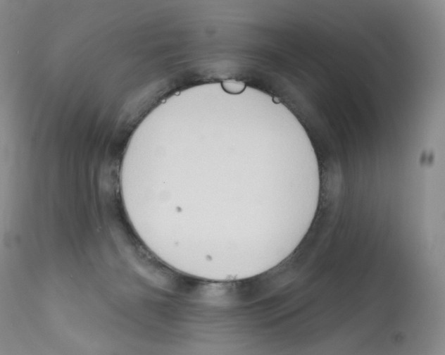 X0000112160126200909181457