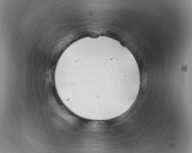 X0000112160128200909181457