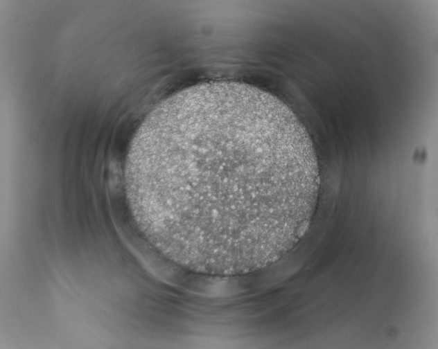 X0000112160130200909181457