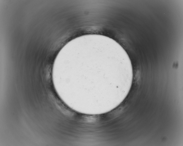 X0000112160131200909181457