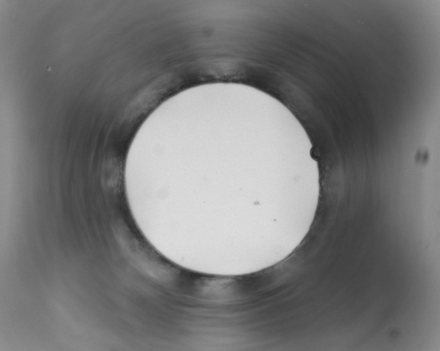 X0000112160132200909181457