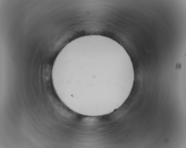 X0000112160133200909181457