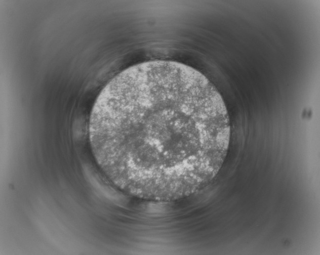 X0000112160134200909181457