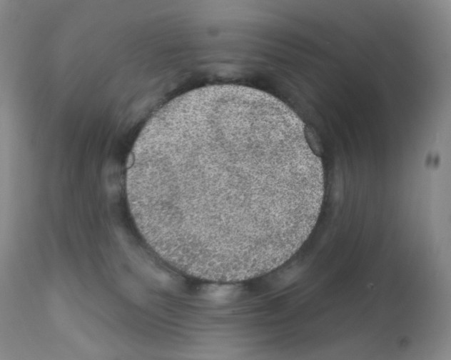 X0000112160135200909181456