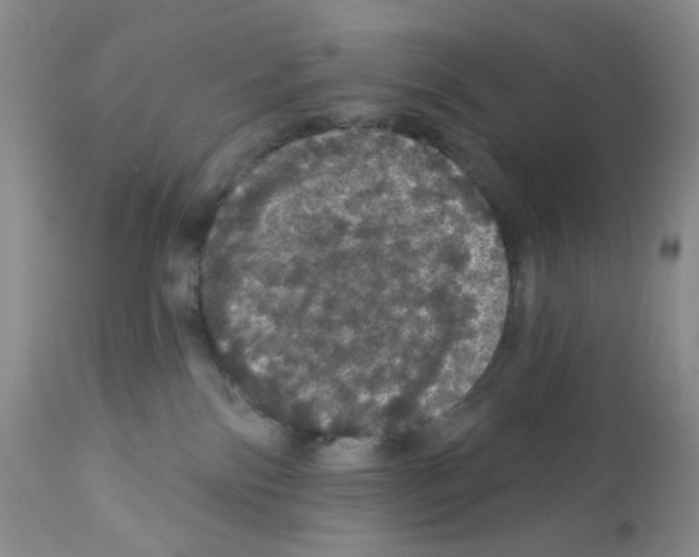 X0000112160138200909181456
