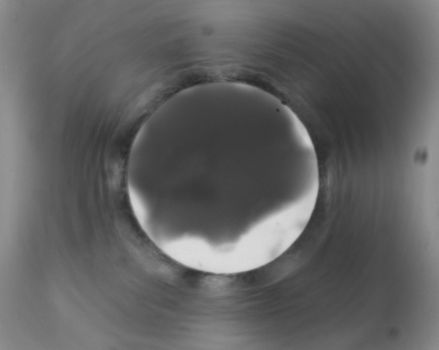 X0000112160139200909181456
